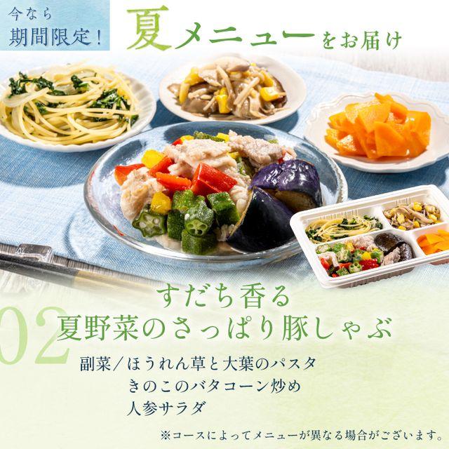 腎臓病食 たんぱく制限 減塩 冷凍弁当 冷凍 弁当 たんぱく質