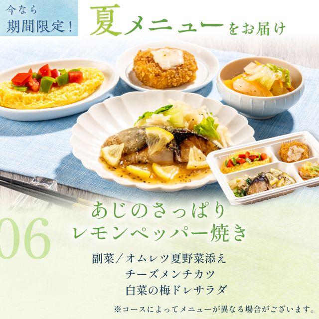 腎臓病食 たんぱく制限 減塩 冷凍弁当 冷凍 弁当 たんぱく質