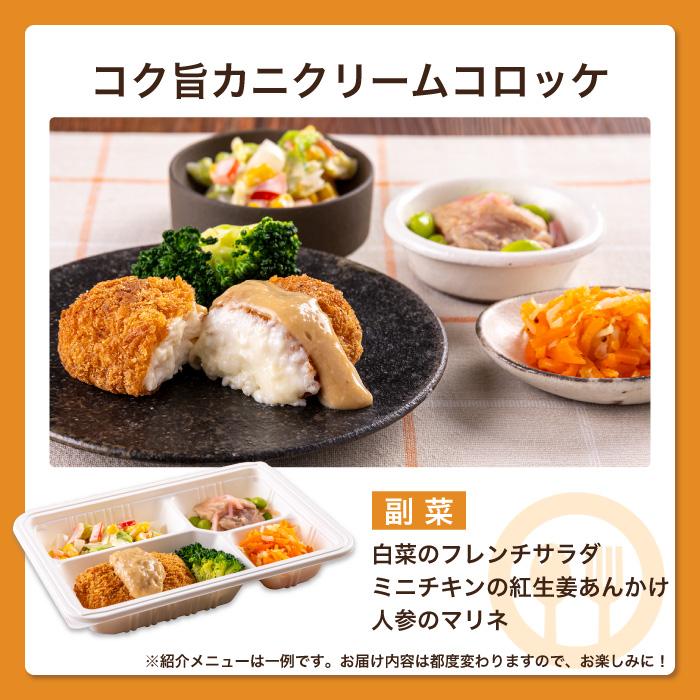 腎臓病食 たんぱく制限 減塩 冷凍弁当 冷凍 弁当 たんぱく質