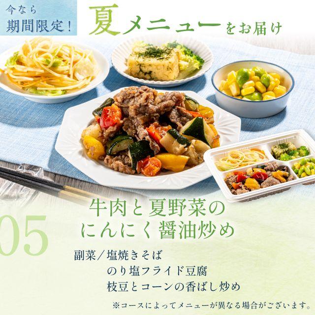 腎臓病食 たんぱく制限 減塩 冷凍弁当 冷凍 弁当 たんぱく質
