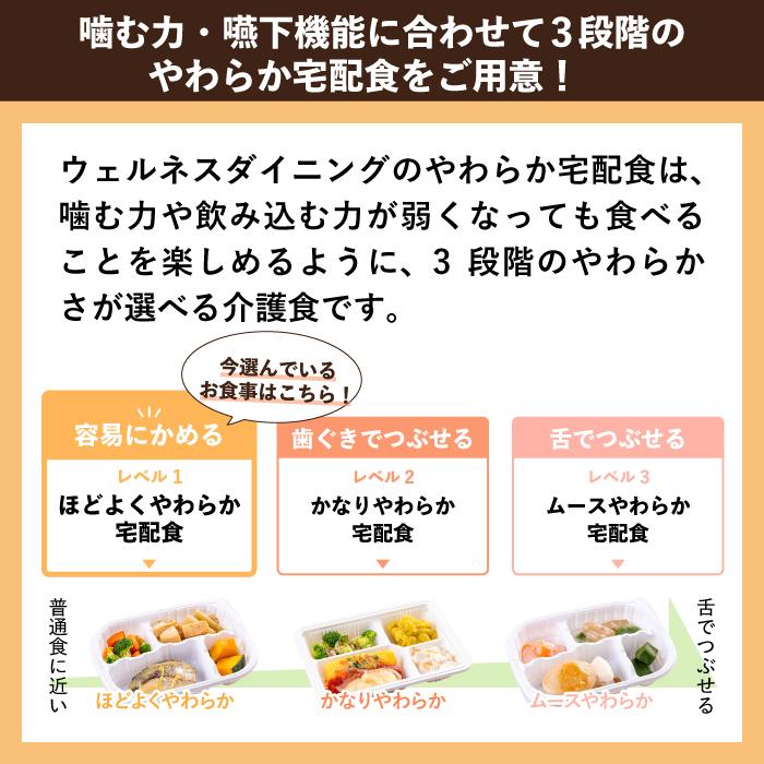 介護 食 高齢者 ほどよく やわらか食 7食 冷凍弁当 冷凍 弁当 介護 食 高齢者 ほどよく やわらか食 7食 冷凍弁当 冷凍 弁当