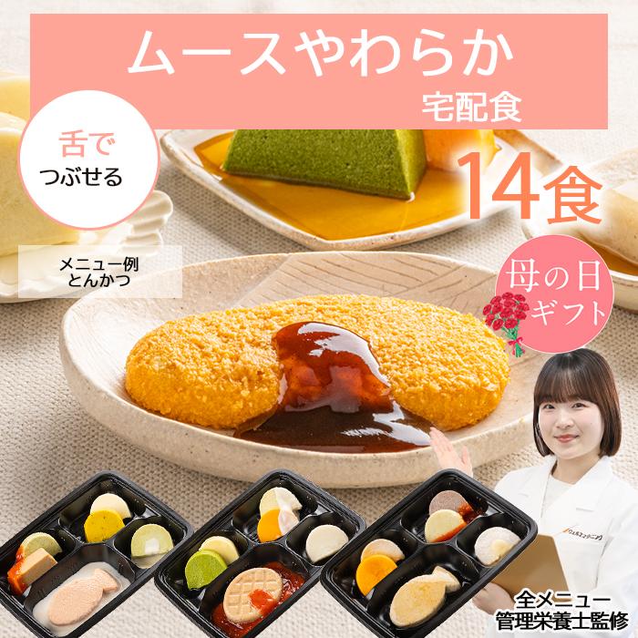 介護 食 高齢者 介護食 ムース 嚥下食 冷凍弁当 冷凍 弁当 嚥下 減塩 