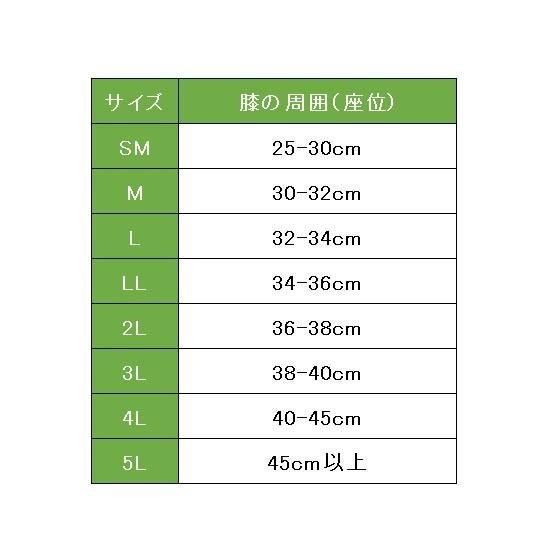 ザ・メニスカス 5Lサイズ_2