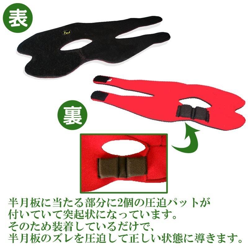 ザ・メニスカス 5Lサイズ_3