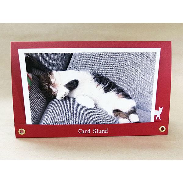 猫ちゃんのフォトスタンド カードスタンド ｜ 猫柄 フォトフレーム 写真立て フォトスタンド メモ