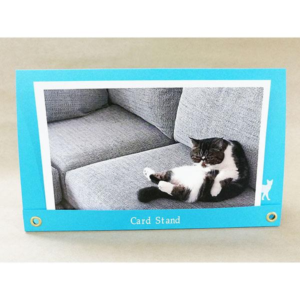 カードスタンド ｜ 猫柄 フォトフレーム 写真立て フォトスタンド メモ