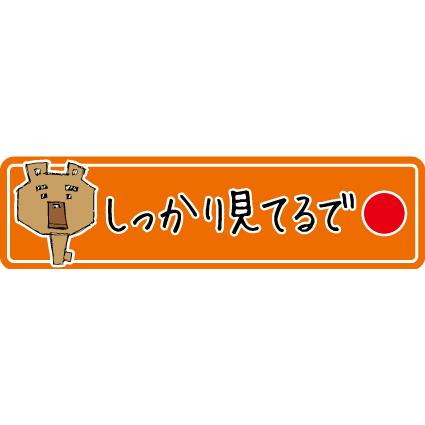 ドラレコ ステッカー マグネット 録画中 防犯対策 かわいい キャラクター オレンジ あおり運転対策 ドライブレコーダー 搭載 ステッカー 横長 Dorareco 075 ココ Deマンド 通販 Yahoo ショッピング