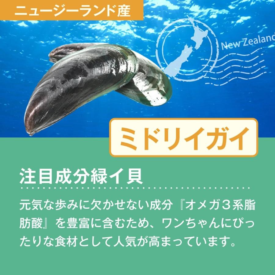 犬 犬用 サプリ 国産 低カロリー 11種の無添加 緑イ貝 プロテオグリカン コラーゲン 乳酸菌 モリンガ アクティブワン 1袋 |  | 06
