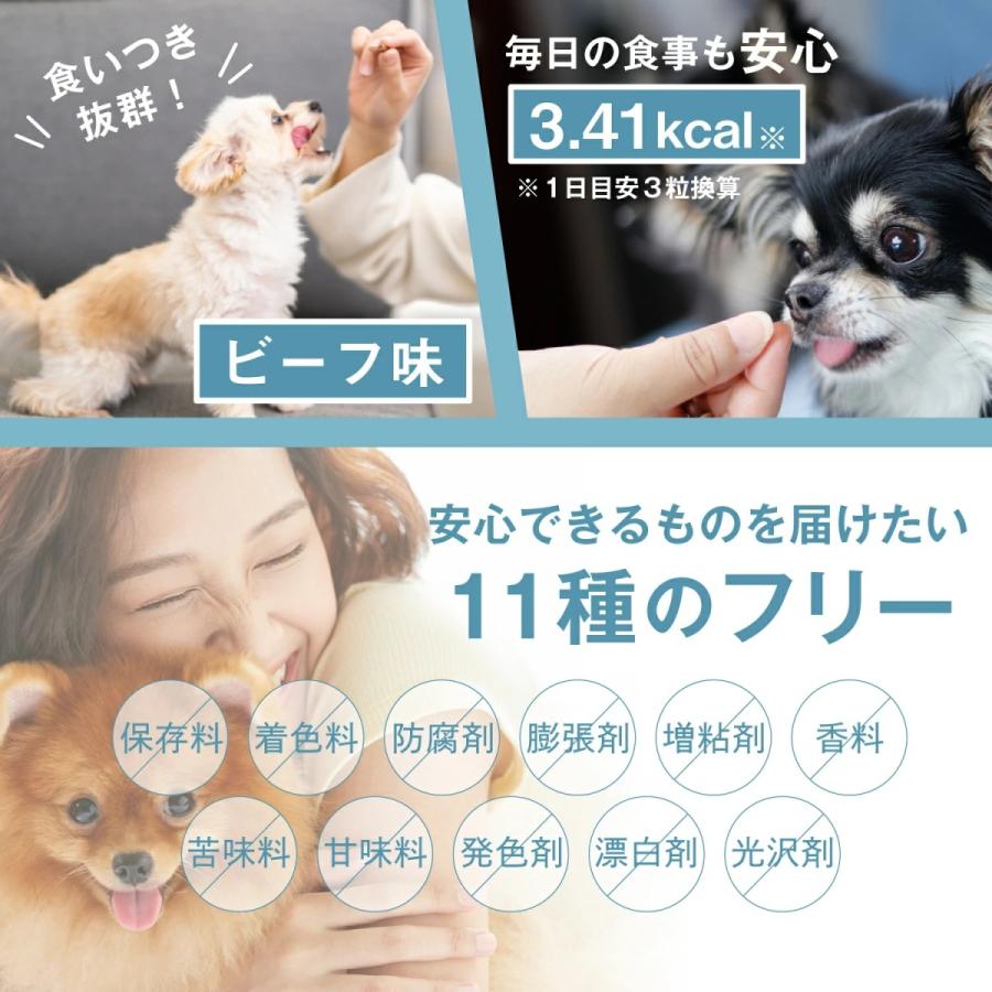 犬 犬用 サプリ 国産 低カロリー 11種の無添加 緑イ貝 プロテオグリカン コラーゲン 乳酸菌 モリンガ アクティブワン 2袋 |  | 09