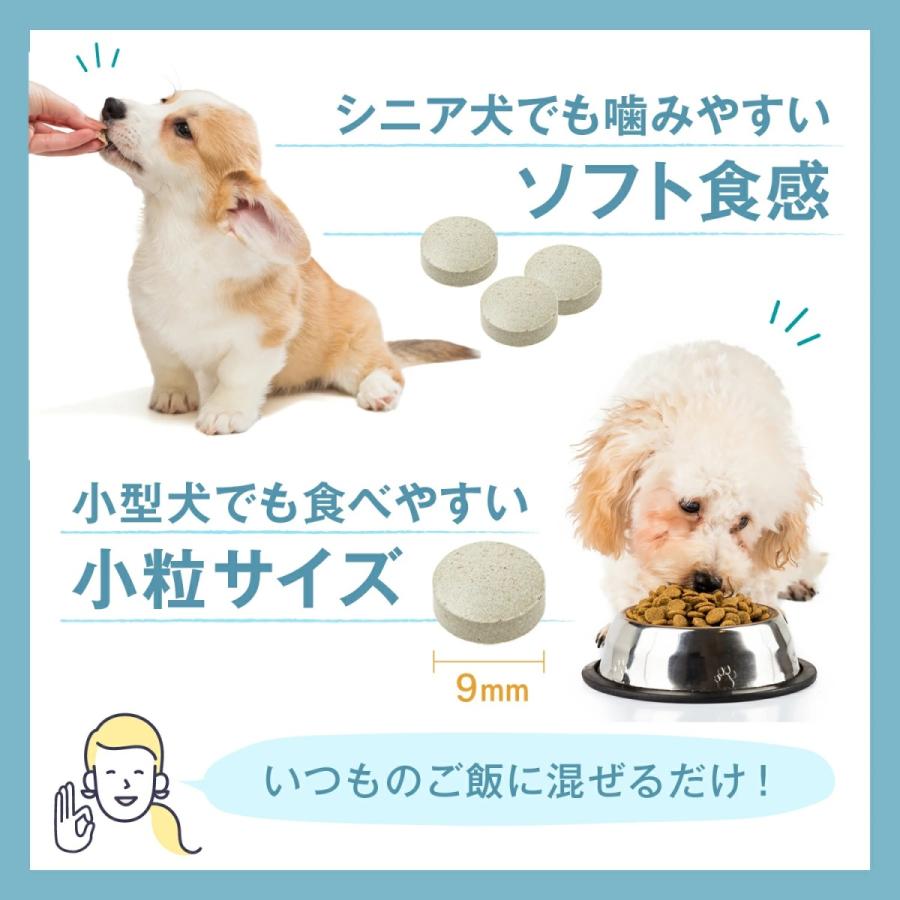 犬 犬用 サプリ 国産 低カロリー 11種の無添加 緑イ貝 プロテオグリカン コラーゲン 乳酸菌 モリンガ アクティブワン 2袋 |  | 10