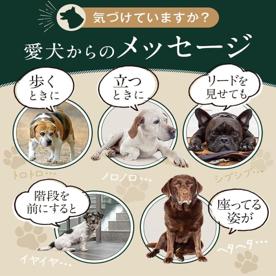 犬 犬用 サプリ 国産 低カロリー 11種の無添加 緑イ貝 プロテオグリカン コラーゲン 乳酸菌 モリンガ アクティブワン 2袋 |  | 02