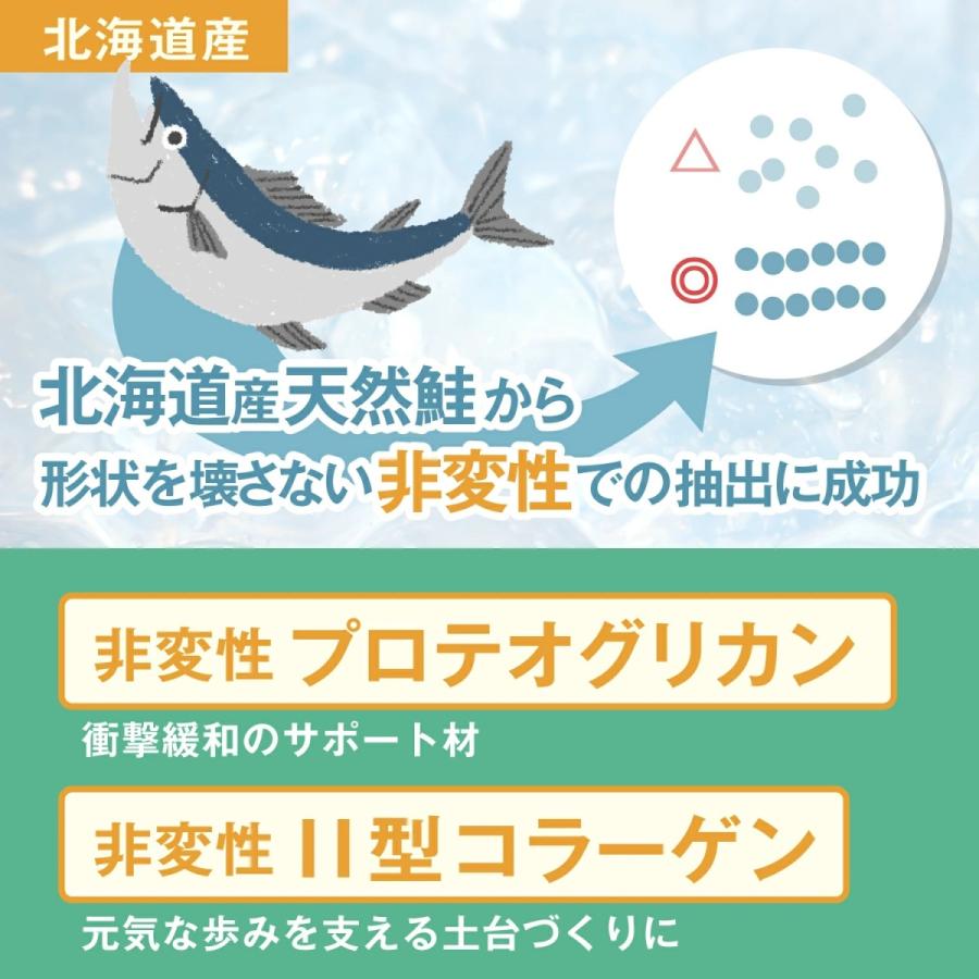 犬 犬用 サプリ 国産 低カロリー 11種の無添加 緑イ貝 プロテオグリカン コラーゲン 乳酸菌 モリンガ アクティブワン 2袋 |  | 04