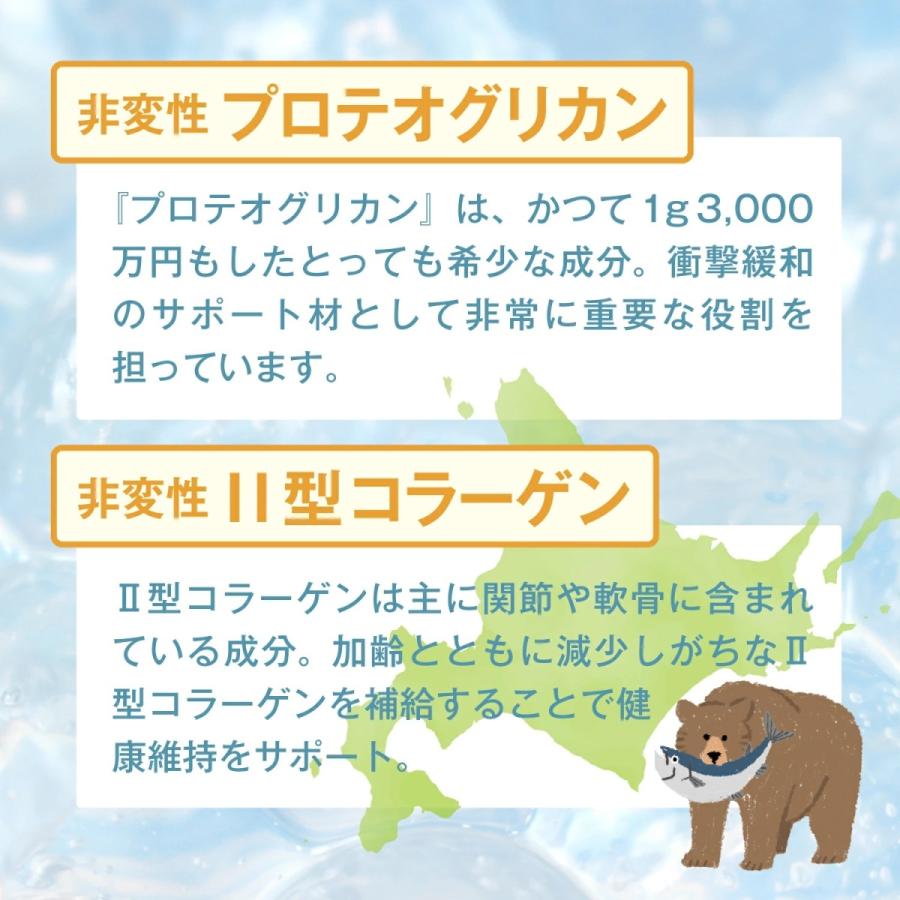犬 犬用 サプリ 国産 低カロリー 11種の無添加 緑イ貝 プロテオグリカン コラーゲン 乳酸菌 モリンガ アクティブワン 2袋 |  | 05