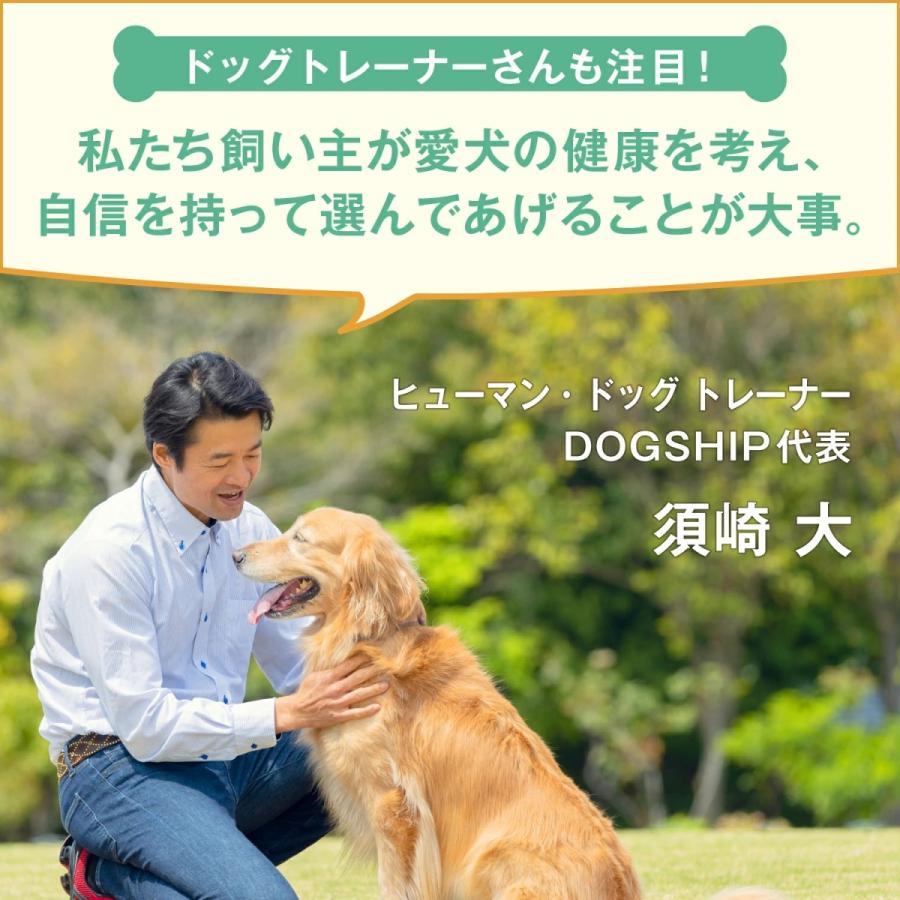 犬 犬用 サプリ 国産 低カロリー 11種の無添加 緑イ貝 プロテオグリカン コラーゲン 乳酸菌 モリンガ アクティブワン 2袋 |  | 08
