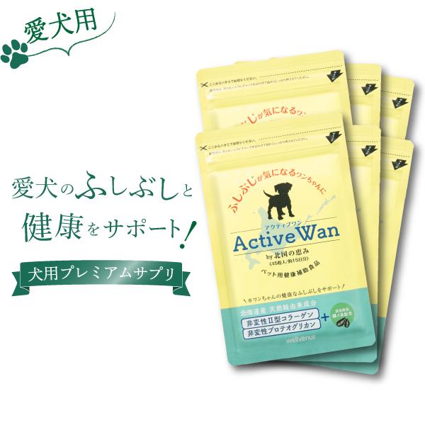 犬 犬用 サプリ 国産 低カロリー 11種の無添加 緑イ貝 プロテオグリカン コラーゲン 乳酸菌 モリンガ アクティブワン 6袋 | 