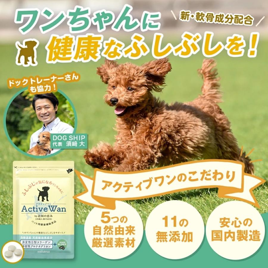 犬 犬用 関節 サプリ 5つの自然由来成分 国産 低カロリー 11種の無添加 緑イ貝 プロテオグリカン コラーゲン 乳酸菌 モリンガ アクティブワン 6袋 約3か月分｜wellvenus｜03