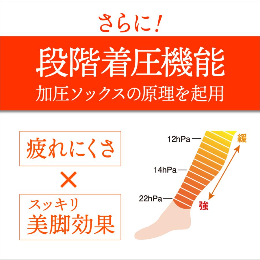 膝サポーター ひざ ふくらはぎ サポーター 3袋セット 1袋 2枚入り 左右 男女 兼用 薄手 日本製 ぐっと支え〜るW |  | 06