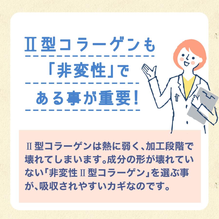 北国の恵み  30粒 約10日分 プロテオグリカン サプリ サプリメント グルコサミン コンドロイチン と好相性 2型コラーゲン｜wellvenus｜14