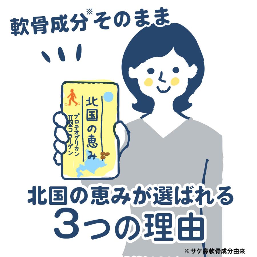 北国の恵み  30粒 約10日分 プロテオグリカン サプリ サプリメント グルコサミン コンドロイチン と好相性 2型コラーゲン｜wellvenus｜16