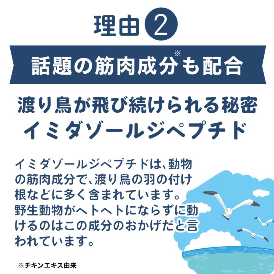 北国の恵み  30粒 約10日分 プロテオグリカン サプリ サプリメント グルコサミン コンドロイチン と好相性 2型コラーゲン｜wellvenus｜18