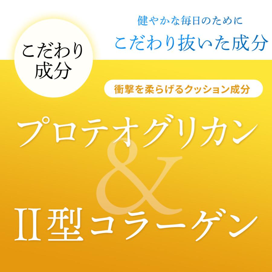 wellvenus 北国の恵み 30粒 約10日分 プロテオグリカン サプリ
