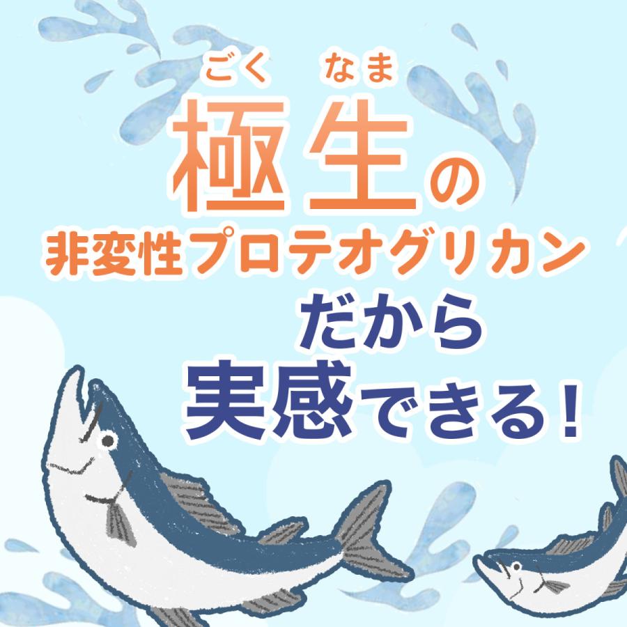 北国の恵み 93粒×3袋 約3ヶ月分 プロテオグリカン サプリ サプリメント グルコサミン コンドロイチン と好相性 2型コラーゲン｜wellvenus｜12