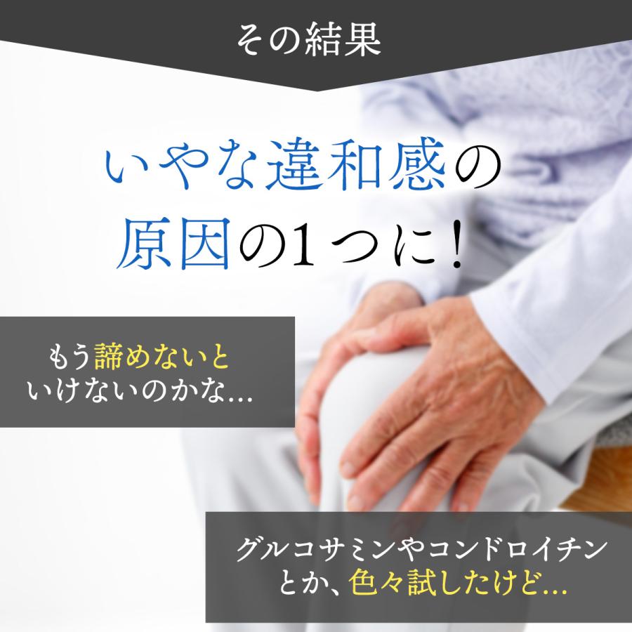 wellvenus 北国の恵み 93粒×3袋 約3ヶ月分 プロテオグリカン wellvenus 北国の恵み 93粒×3袋 約3ヶ月分 プロテオグリカン