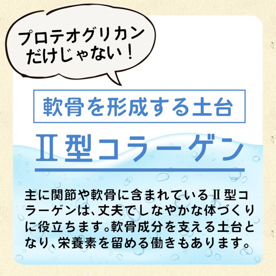 北国の恵み 93粒×3袋 約3ヶ月分 プロテオグリカン サプリ サプリメント グルコサミン コンドロイチン と好相性 2型コラーゲン｜wellvenus｜13