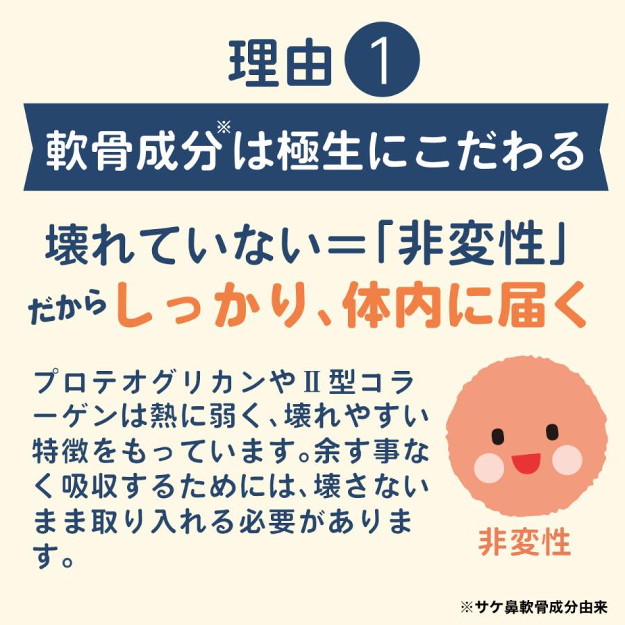 北国の恵み 93粒×3袋 約3ヶ月分 プロテオグリカン サプリ サプリメント グルコサミン コンドロイチン と好相性 2型コラーゲン｜wellvenus｜17