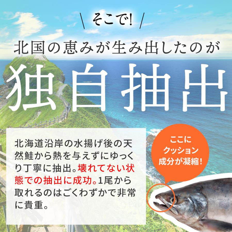 wellvenus 北国の恵み 93粒×3袋 約3ヶ月分 プロテオグリカン wellvenus 北国の恵み 93粒×3袋 約3ヶ月分 プロテオグリカン