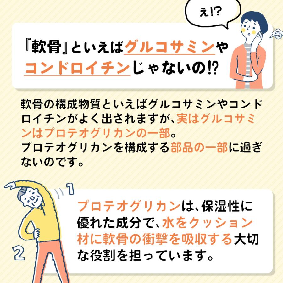 北国の恵み 93粒×3袋 約3ヶ月分 プロテオグリカン サプリ サプリメント グルコサミン コンドロイチン と好相性 2型コラーゲン｜wellvenus｜06