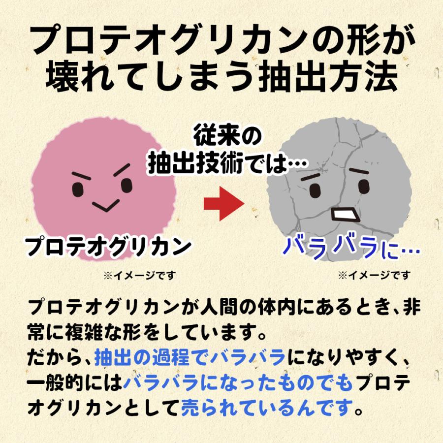 北国の恵み 93粒×3袋 約3ヶ月分 プロテオグリカン サプリ サプリメント グルコサミン コンドロイチン と好相性 2型コラーゲン｜wellvenus｜08