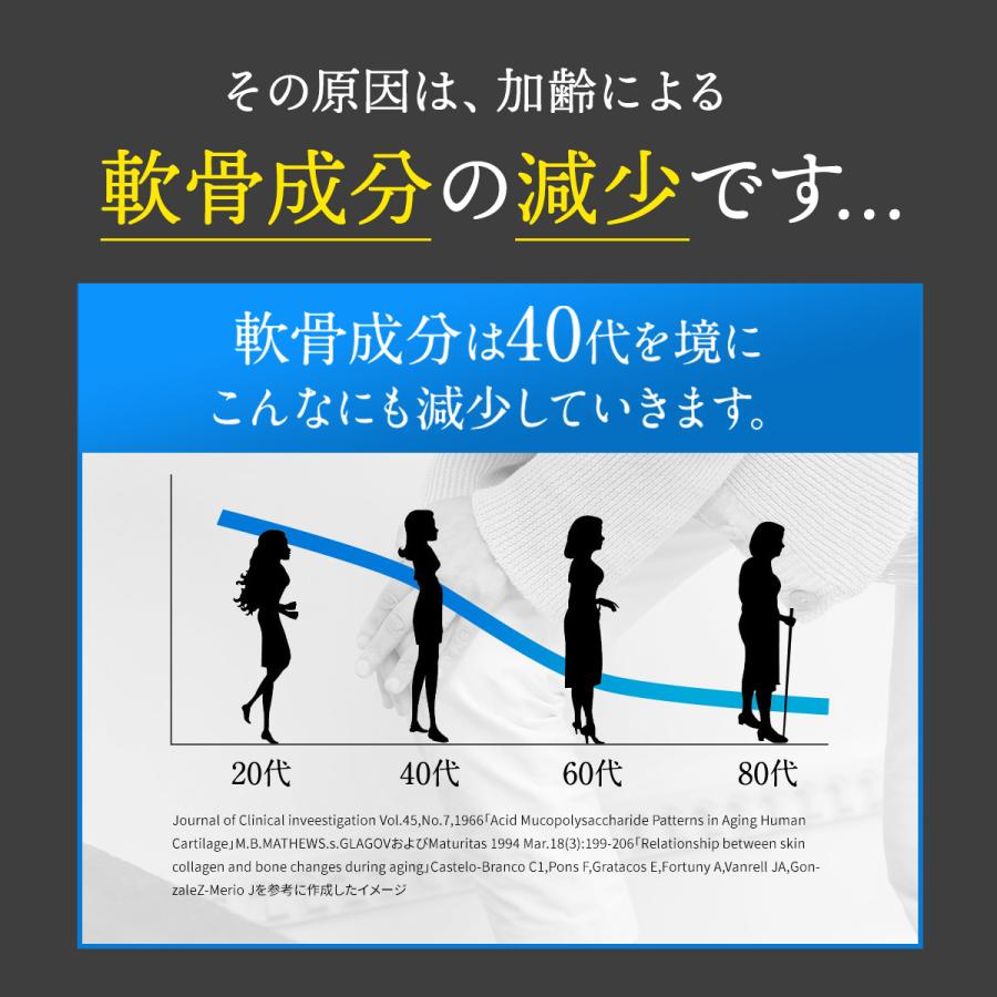 wellvenus 北国の恵み 93粒×3袋 約3ヶ月分 プロテオグリカン wellvenus 北国の恵み 93粒×3袋 約3ヶ月分 プロテオグリカン