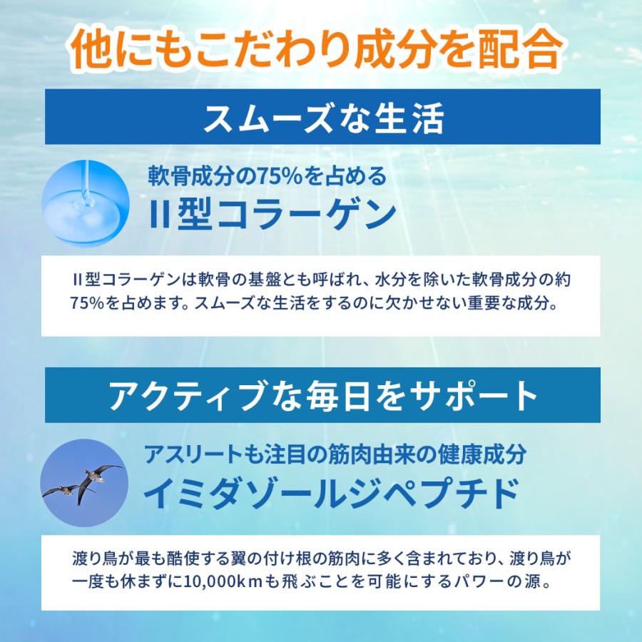 北国の恵み 93粒 約1ヶ月分 プロテオグリカン 膝 サプリ サプリメント グルコサミン を超えるパワー※ 2型コラーゲン ウェルヴィーナス 機能性表示食品 | wellvenus | 14