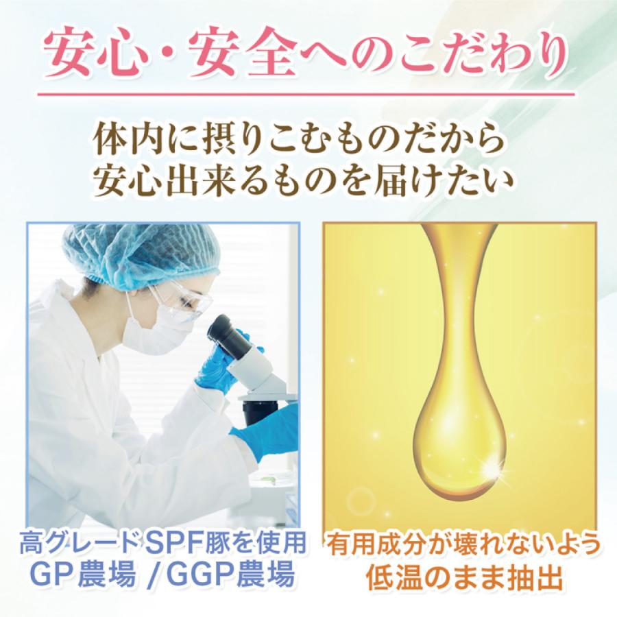 wellvenus プラセンタ サプリ 100倍濃縮 1日49,000mg エイジングケア