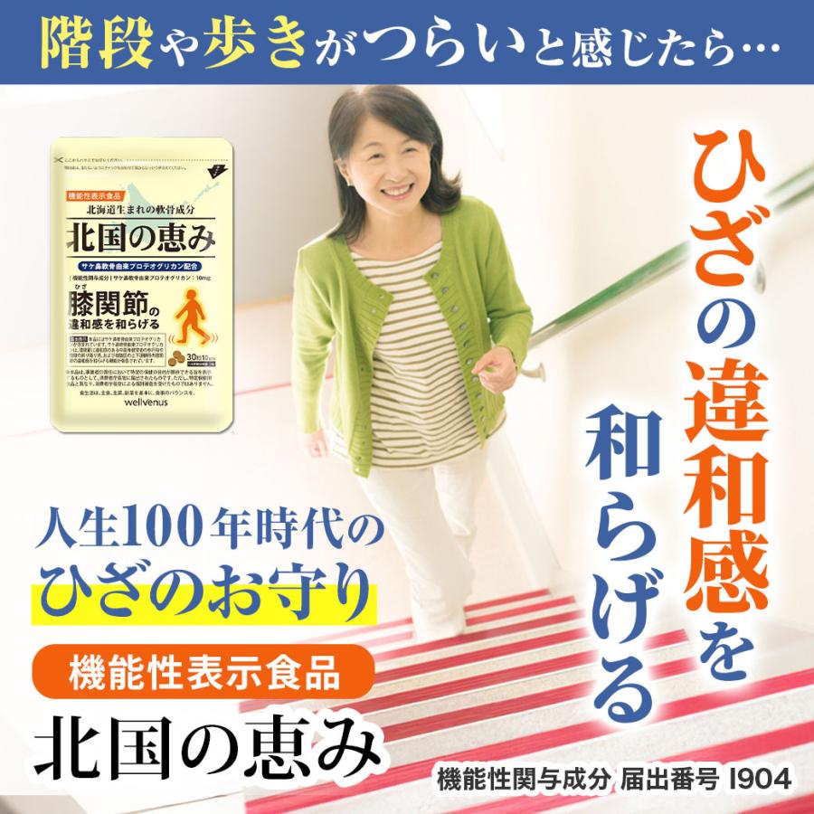 wellvenus 北国の恵み 30粒×2袋 約20日分 プロテオグリカン 膝 サプリ