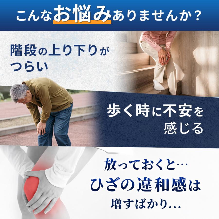 北国の恵み 30粒×2袋 約20日分 プロテオグリカン 膝 サプリ サプリメント グルコサミン を超えるパワー※ 2型コラーゲン ウェルヴィーナス 機能性表示食品 | wellvenus | 04