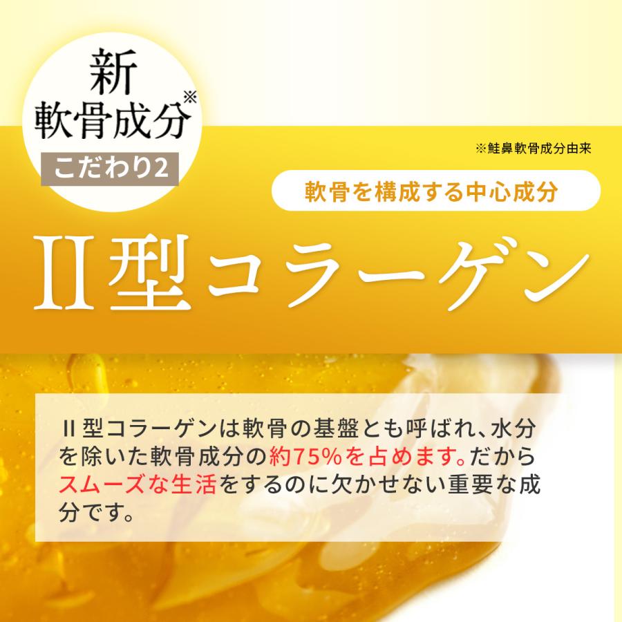 北国の恵み 93粒 約6ヶ月分 プロテオグリカン サプリ