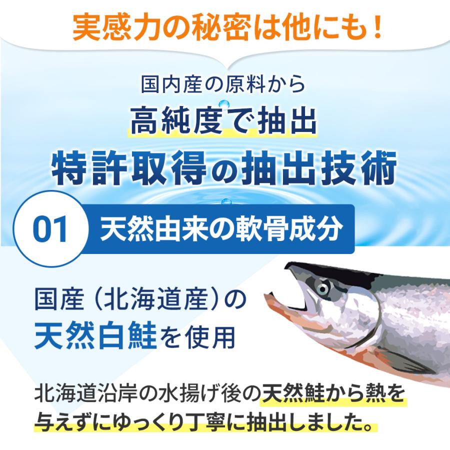 北国の恵み 93粒×6袋 約6ヶ月分 プロテオグリカン 膝 サプリ サプリメント グルコサミン を超えるパワー※ 2型コラーゲン 機能性表示食品 | wellvenus | 11
