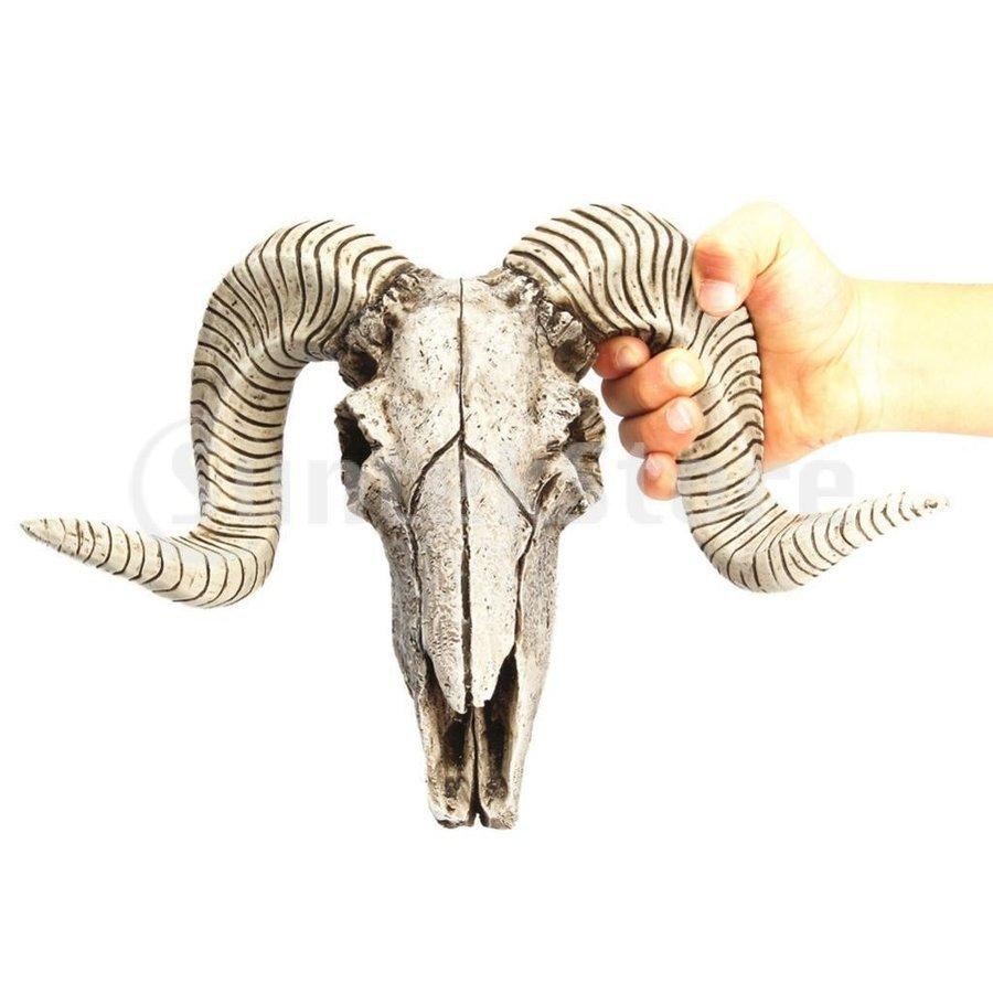 頭飾り動物彫刻彫刻ディスプレイ装飾頭蓋骨羊の頭 ggebb4 Welply 通販 Yahoo ショッピング