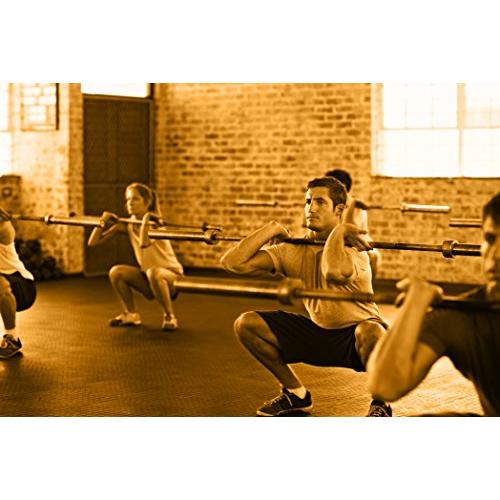 《送料込》 RAGEフィットネスオリンピックトレーニングバーベル、15ポンド、6フィート、アルミバーベル、ウェイトリフティングとパワーリフティング、フィットネスバー 【LWH7166635053】(26092円)