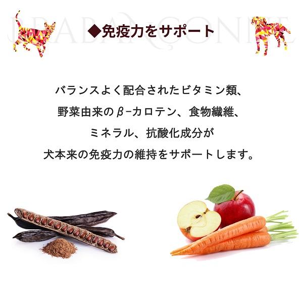 BRABANCONNE（ブラバンソンヌ） シニア犬 用 ドッグフード エイジング