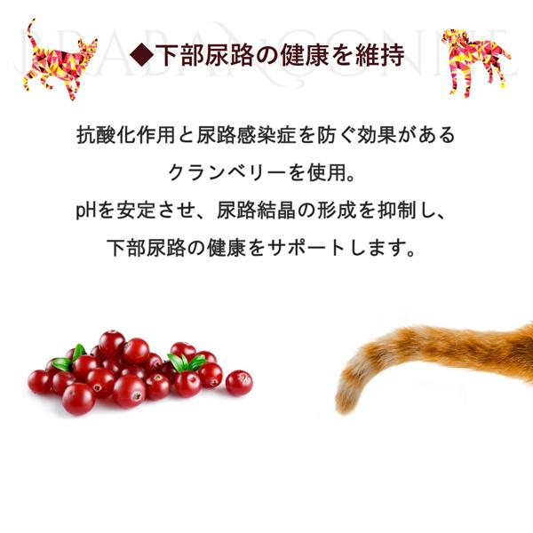 BRABANCONNE（ブラバンソンヌ） 消化器サポート 猫用 キャットフード