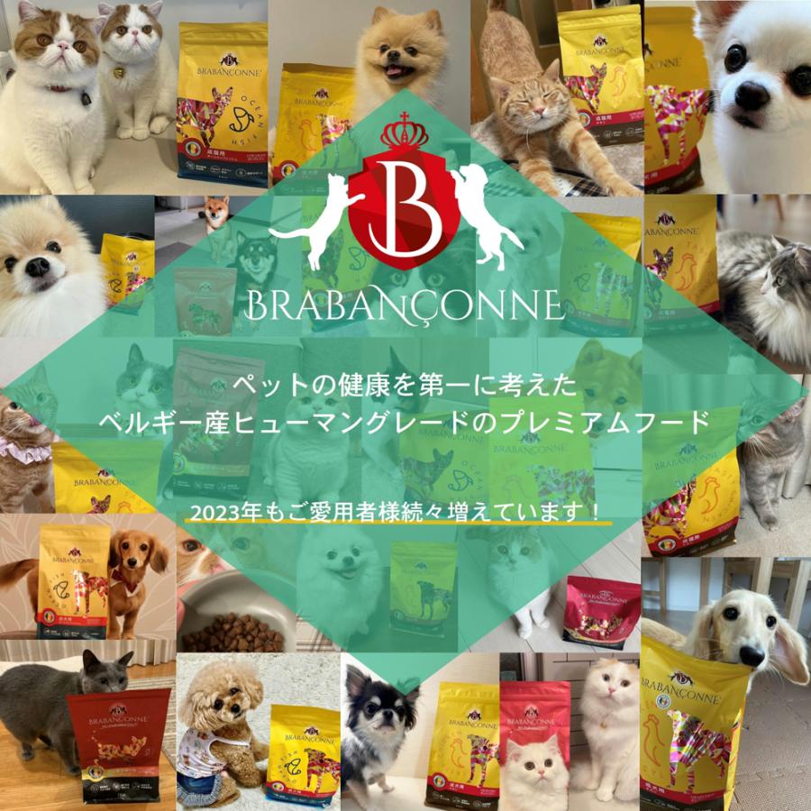 ブラバンソンヌ 消化器サポート 猫用 キャットフード チキン 1kg オールステージ対応 準 療法食 小粒 尿路ケア 腎臓ケア 無添加 グルテンフリー タウリン配合｜wepet-japan｜04