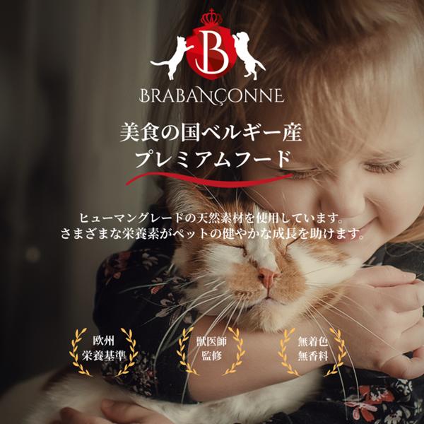 BRABANCONNE（ブラバンソンヌ） 消化器サポート 猫用 キャットフード