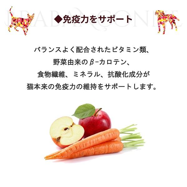 BRABANCONNE（ブラバンソンヌ） 消化器サポート 猫用 キャットフード