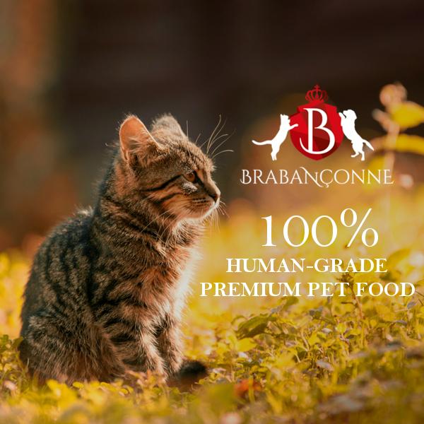 BRABANCONNE（ブラバンソンヌ） 消化器サポート 猫用 キャットフード