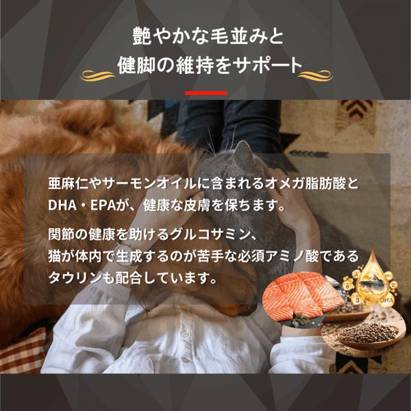 BRABANCONNE（ブラバンソンヌ） ドッグフード お試し セット 200g 無