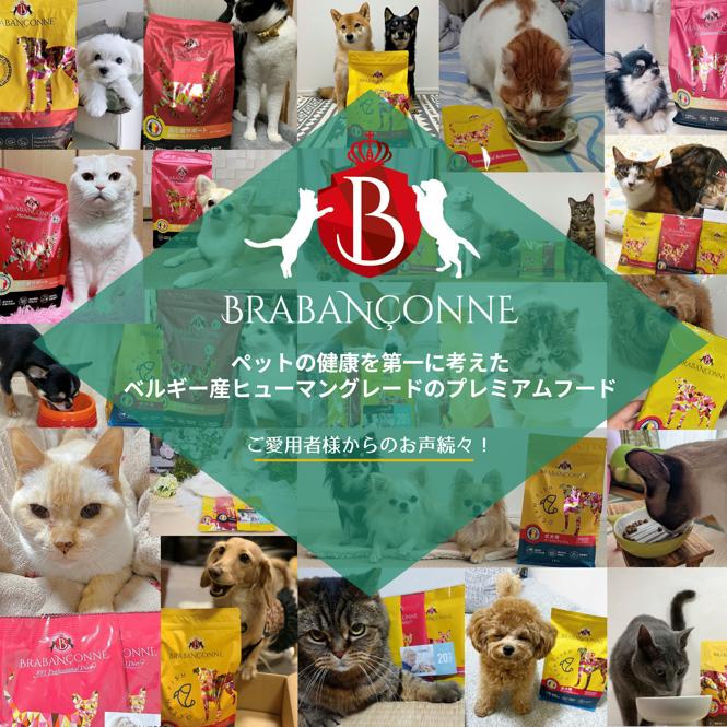 BRABANCONNE（ブラバンソンヌ） アウトレット セール 賞味期限間近