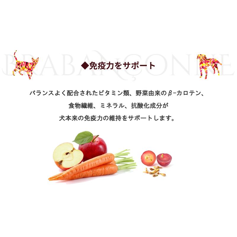BRABANCONNE（ブラバンソンヌ） アウトレット セール 賞味期限間近
